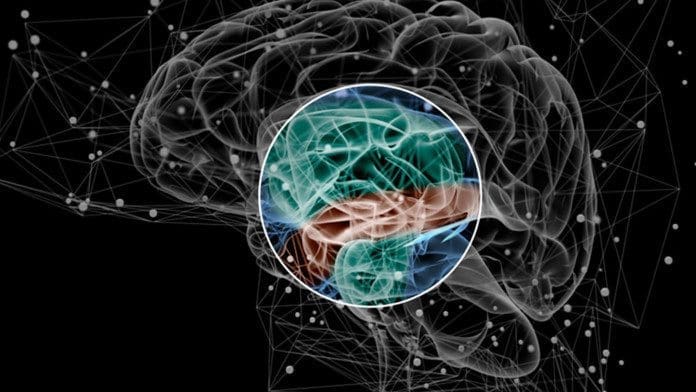 Abnormal-Brain-Connections