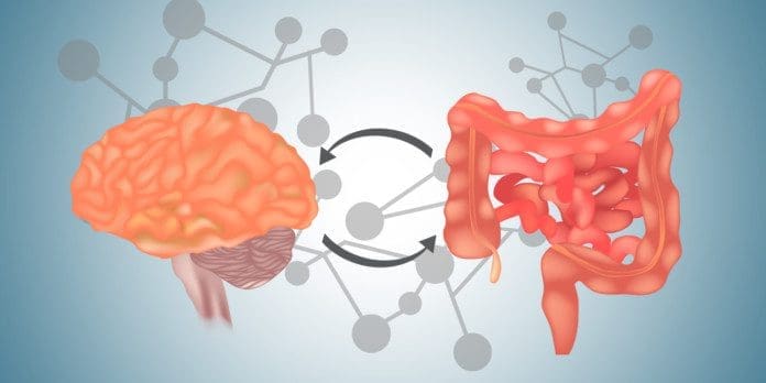 braingutconnection