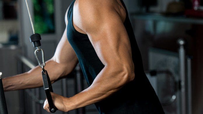 triceps