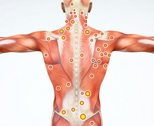 11860 Vista Del Sol, Ste. 128 Scar Tissue Break Down with Chiropractic, Mobility and Flexibility Restored