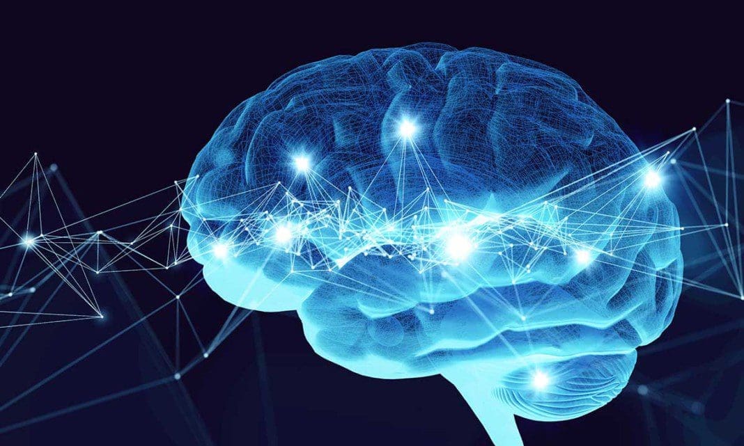 hctp brain
