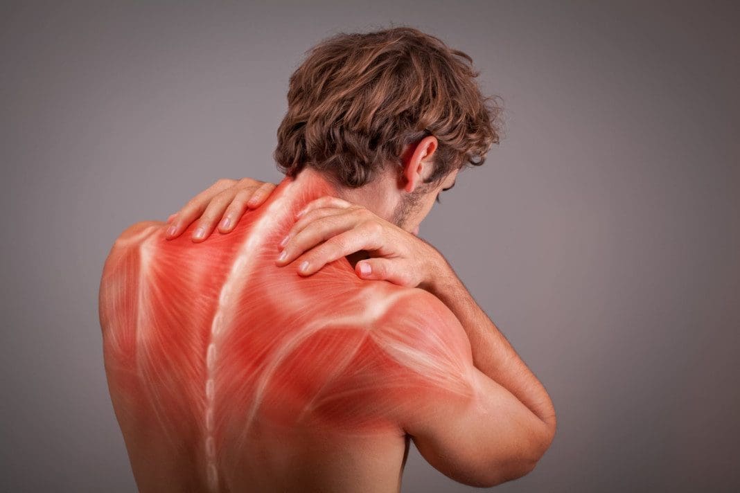 Musculature,Of,Athlete,Back,And,Shoulders