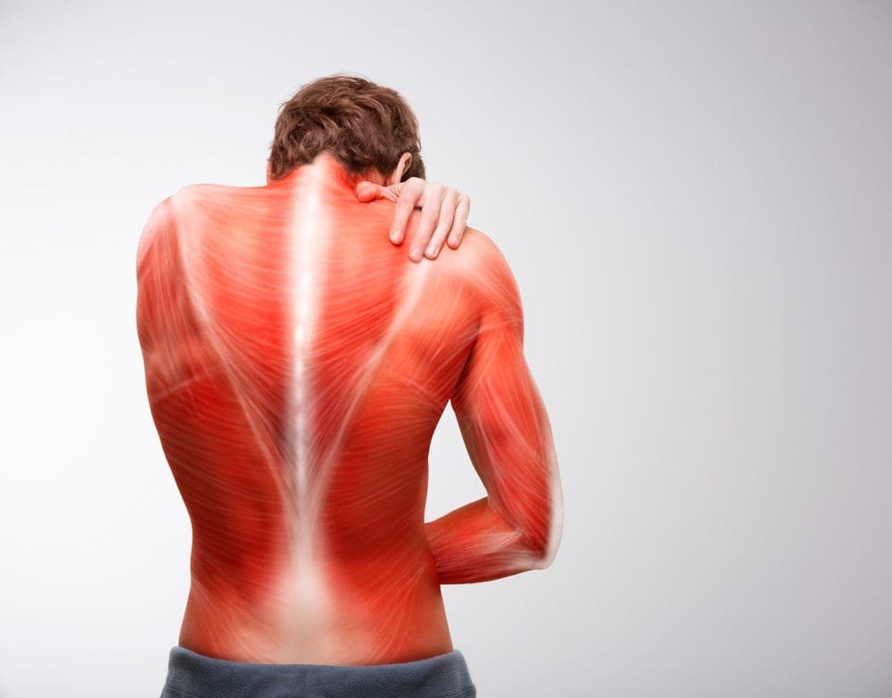 muscle-inflammation- met