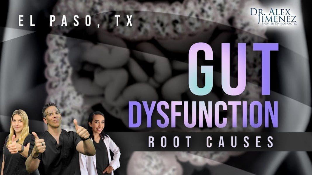 Root Causes of *GUT DYSFUNCTION* | El Paso, Tx (2021)