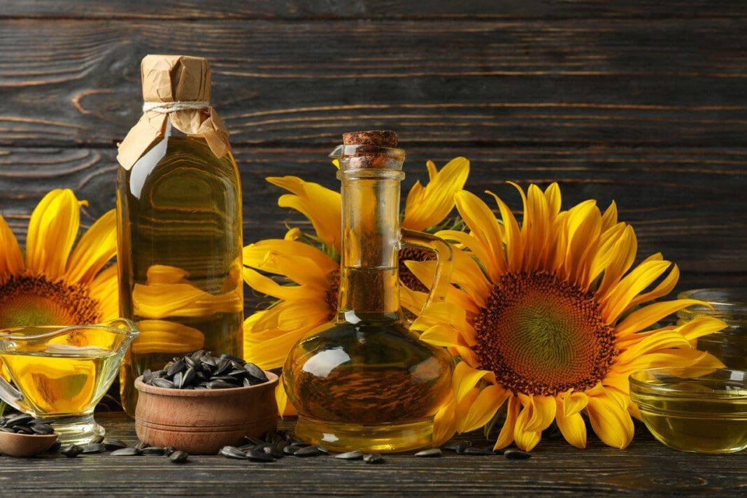 Composition with sunflower, oil and seeds on wooden background