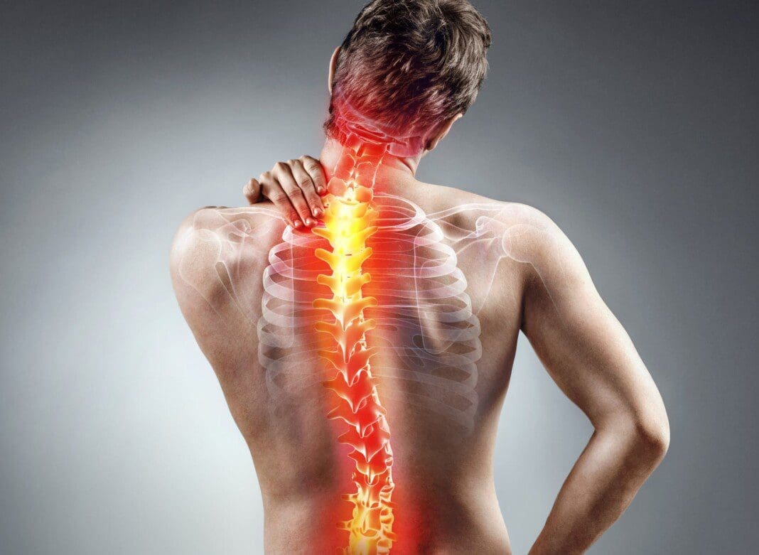 spine-conditions